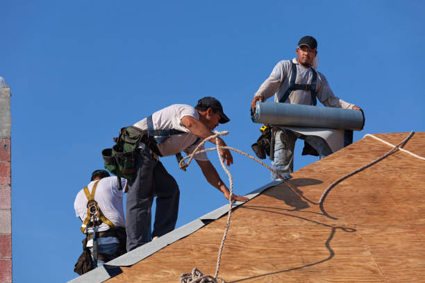 Best Roof Leak Repair  in Osceola, IA