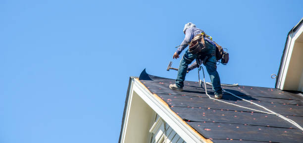 Best Storm Damage Roof Repair  in Osceola, IA